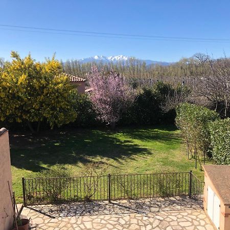 Au Mimosa -Gite Le Canigou Passa Екстер'єр фото