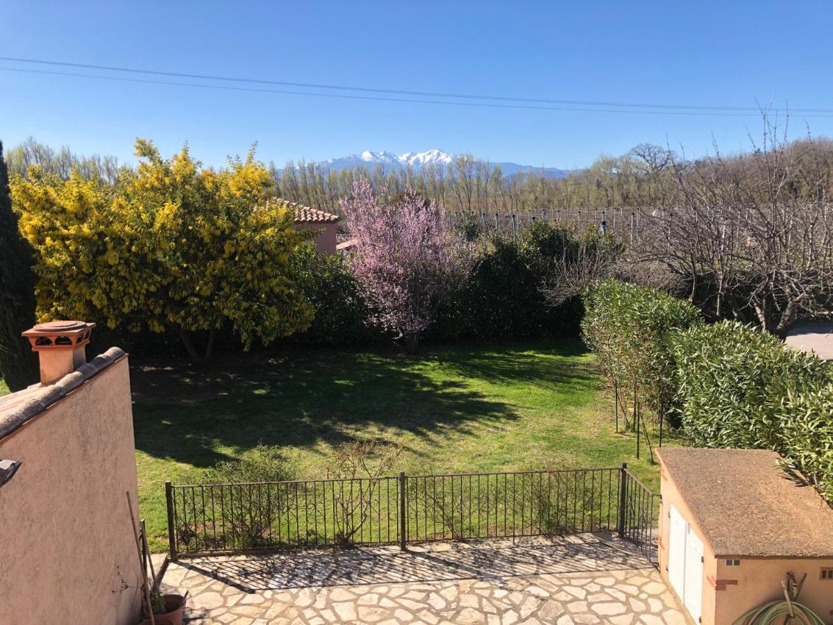 Au Mimosa -Gite Le Canigou Passa Екстер'єр фото