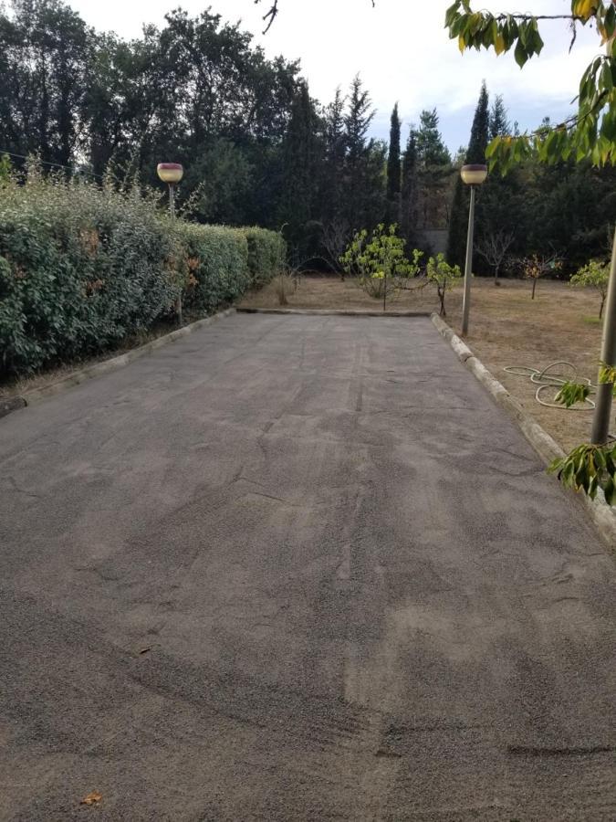 Au Mimosa -Gite Le Canigou Passa Екстер'єр фото